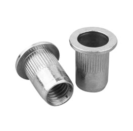 Stainless Steel 321 Rivert Nuts